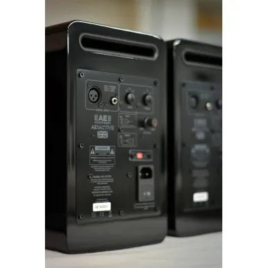 Активная полочная акустика Acoustic Energy AE1 Active Piano Black